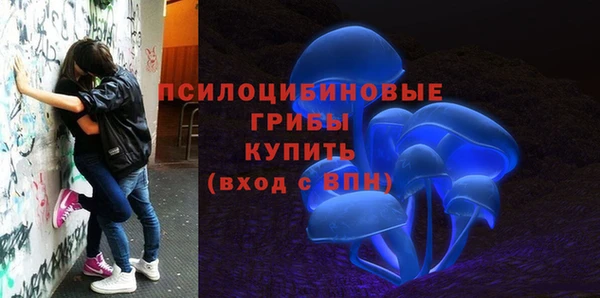 тгк Майский