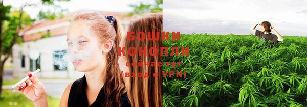 гидра Лихославль