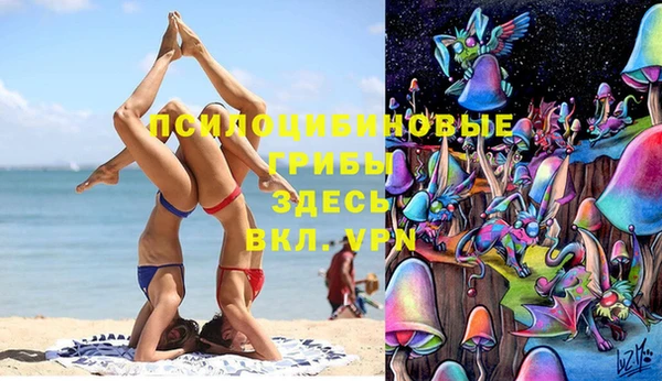 MESCALINE Вяземский