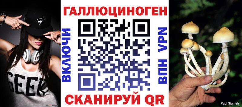 Псилоцибиновые грибы GOLDEN TEACHER  магазин продажи   Красноармейск 